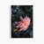 'First Frost / Final Bloom' Set of Botanical Photographs, Floral Art Series of Four 12 X 18" Fine Art Photography Prints For Sale In Boston - Image 6 of 7