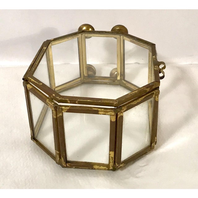 MidCentury Modern Brass & Glass Mini Curio Box Chairish