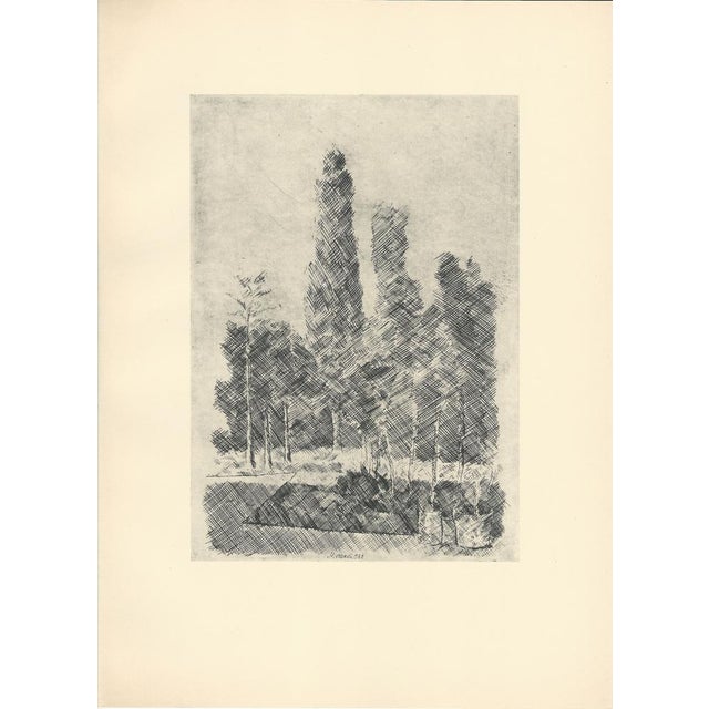 Giorgio Morandi, Poplars, 1930-1957, Lithograph For Sale - Image 6 of 6