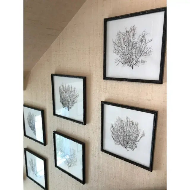 Espresso Frame With Ivory Linen Fan Coral Prints From Barclay Butera For Sale - Image 4 of 4
