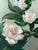 A charming 1970s vintage oil on canvas still life featuring elegant white blossoms set against a soft muted green...