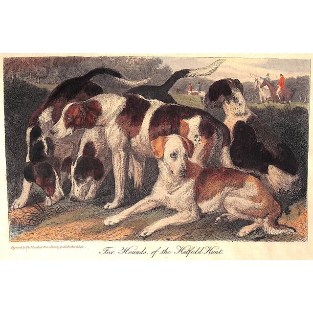 "The Noble Science of Fox-Hunting: Vol I & Ii" 1911 Blew, w.c.A. For Sale In New York - Image 6 of 15