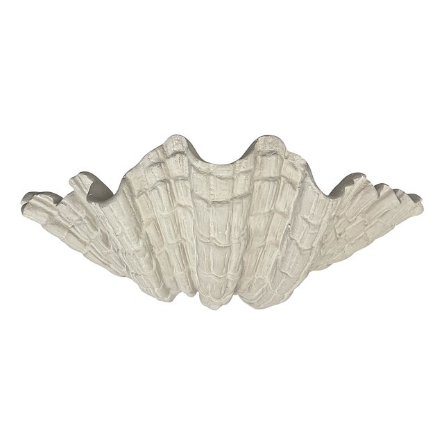 Large Vintage Plaster Organic Sea Shell Wall Light, 1970s For Sale