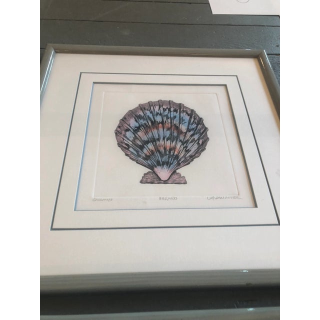 Gallery Wall Collection-6 Original Lithograph Nautical Shell Prints by Listed Artist Dan Mitra- Set of 6 For Sale In Philadelphia - Image 6 of 12