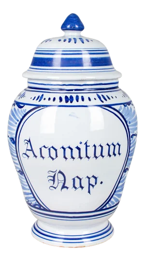 Delft Faience Apothecary Jar