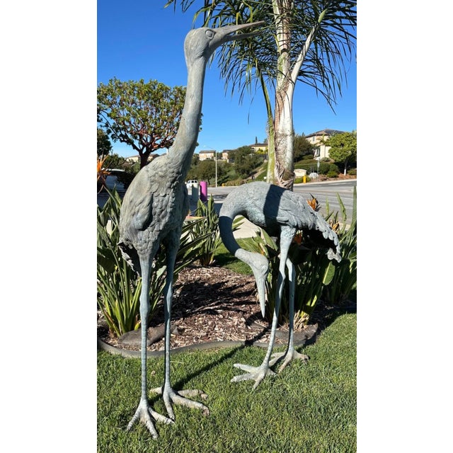 1920s Monumental Pair of Life-Size Bronze Crane Garden Sculptures With Verdigris... For Sale - Image 9 of 18