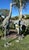 1920s Monumental Pair of Life-Size Bronze Crane Garden Sculptures With Verdigris... For Sale - Image 9 of 18