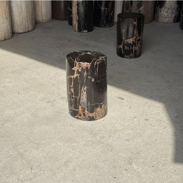 Small Side Table in Black Petrified Wood with Beige Striations For Sale - Image 11 of 18