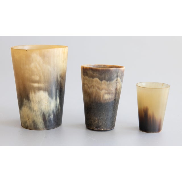 Brown Antique 19th Century English Horn Stirrup Cups - Set of 3 For Sale - Image 8 of 8