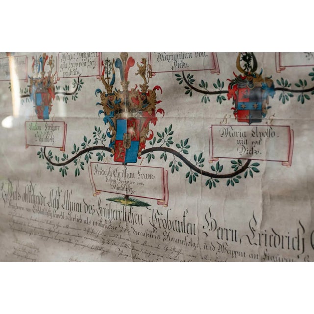 Antique German Glass Framed Heraldic History, 1800s For Sale - Image 4 of 8
