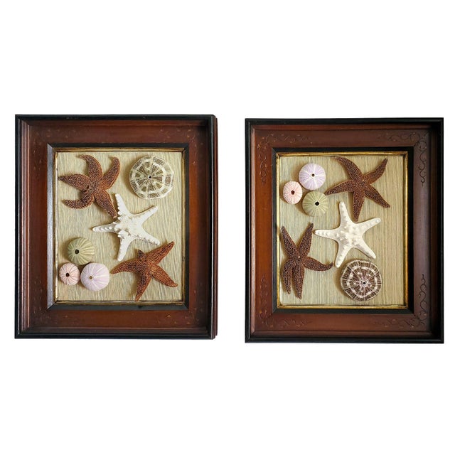 Box Pair Coastal For Sale - Image 14 of 14