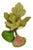 FIG, Brooch, Green For Sale