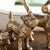 Gold Little Pack, Set Of 3 For Sale - Image 8 of 8