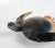 Contemporary Artist Studio Pottery Sea Turtle Whistle For Sale - Image 3 of 11