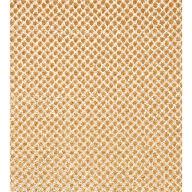 Traditional The House of Scalamandré Etosha Velvet Fabric, Palomino For Sale - Image 3 of 3