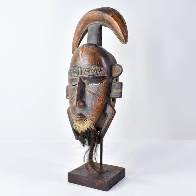Early 20th Century Djimini Ligbi Do Society Mask on Custom Stand Côte d'Ivoire For Sale In Denver - Image 6 of 13