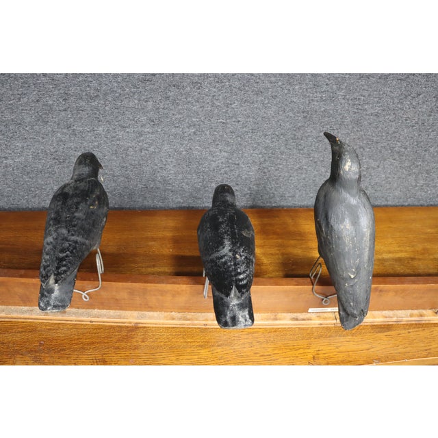 Folk Art Crow Decoys – Set of Three For Sale - Image 16 of 18