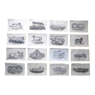 Authentic Antique 19th Century Sheep Stone Lithographs - Set of 20 For Sale