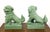 Asian Late 20th Century Green Porcelain Foo Dogs Guardian Lions - Pair For Sale - Image 3 of 8