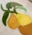 Wood Embroidered Trio of Pears Fabric Art Wall Hanging For Sale - Image 7 of 12