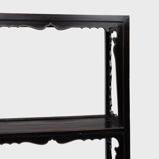 Pair of Antique Chinese Cartouche Collector's Shelves, 19th Century For Sale In Chicago - Image 6 of 6