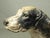 1930s Vintage Hubley Cast Iron English Setter or Pointer Dog Doorstop For Sale - Image 5 of 17