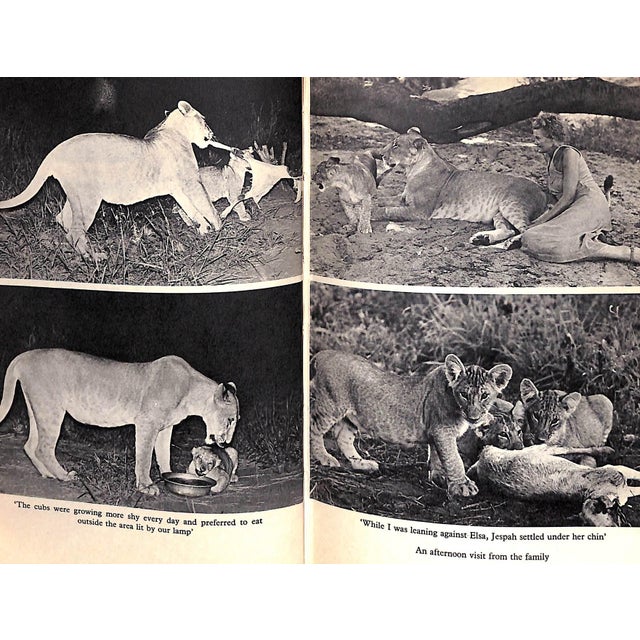 Paper "Living Free: The Story of Elsa and Her Cubs" 1961 Adamson, Joy For Sale - Image 7 of 9