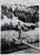 Robert Capa, Gary Cooper, 1941, Photograph For Sale