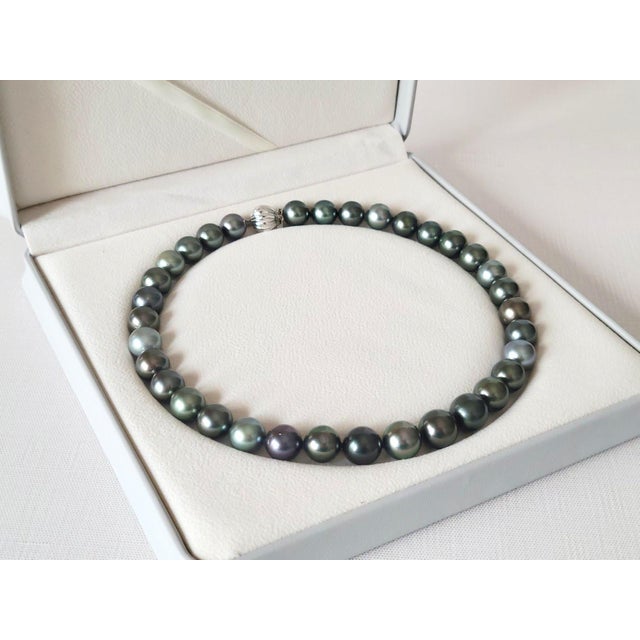 Black South Sea Tahitian Black Pearl Necklace With 14k White Gold Clasp For Sale - Image 8 of 9