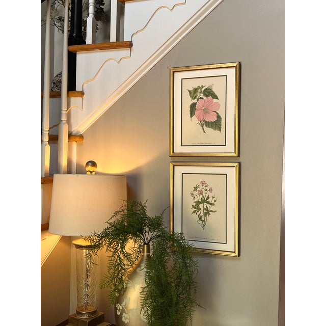 Mid-Century Modern Vintage Botanical Prints Set of 2 - Authentic 1953 Prints For Sale - Image 3 of 5