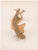 Henri Laurens (1885-1954) Apollo (front) and Daphne (back) Two Original Lithographs Year: 1952 Printer: Mourlot Frères for...