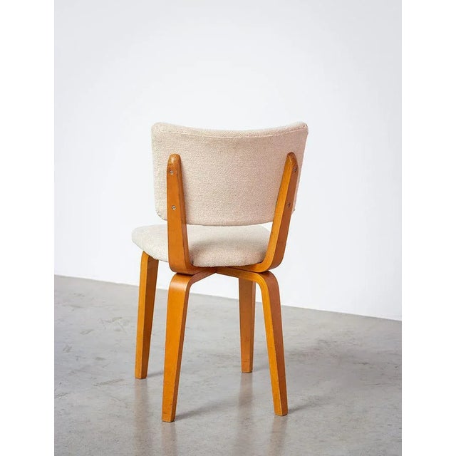 1950s Plywood Multiplex Dining Chairs by Cor Alons & J.C. Jansen for C. de Boer, 1950s, Set of 4 For Sale - Image 5 of 9