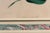 Antique Botanical Prints by Sir Joseph Paxton From the Magazine of Botany For Sale - Image 13 of 16