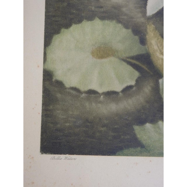 English 1940 Billie Walters Crested Grebe Lithograph For Sale - Image 3 of 6