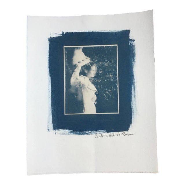 Cyanotype “Vanderbilt Gates - Conservatory Gardens New York City” 1995 Pinhole Photograph by CKBoss For Sale