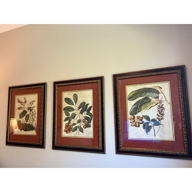 Gold & Leather Framed Botanicals "Foliage, Flowers & Fruit" by John Richards- Set of 3 For Sale - Image 4 of 11