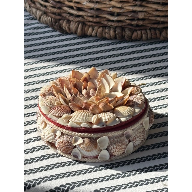 Cream Vintage Palm Beach / Coastal Style Round Shell Encrusted Lidded Box For Sale - Image 8 of 12