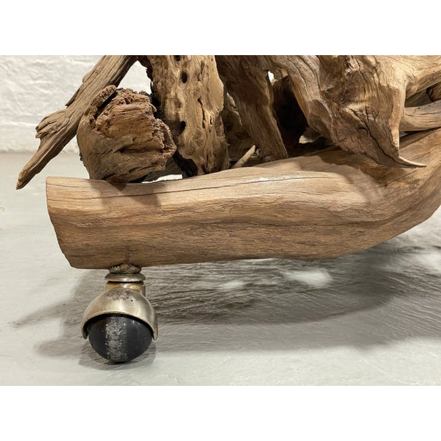 Mid Century Modern Driftwood + Glass Coffee Table | Organic Modern Cocktail Table Castors For Sale - Image 13 of 14