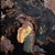 1970s Vintage Lacquered Chinese Panel, 1970s For Sale - Image 5 of 6