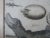 Pair Antique Circa 1789 Natural History Engravings, Reptiles, Lizards, Alligators For Sale - Image 4 of 9