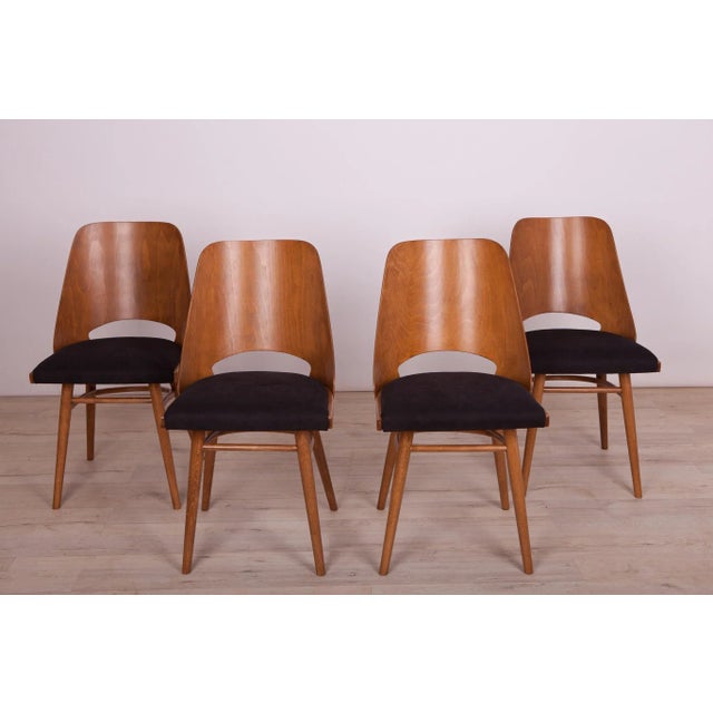Mid-Century Modern Model Lollipop Dining Chairs from Tatra, 1960s, Set of 4 For Sale - Image 3 of 18