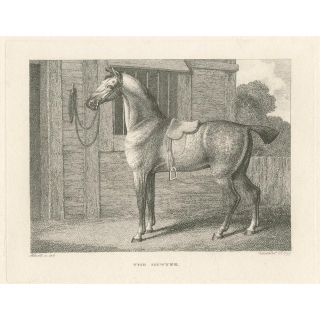 Samuel Howitt, The Hunter, 1799, Engraving For Sale - Image 4 of 9