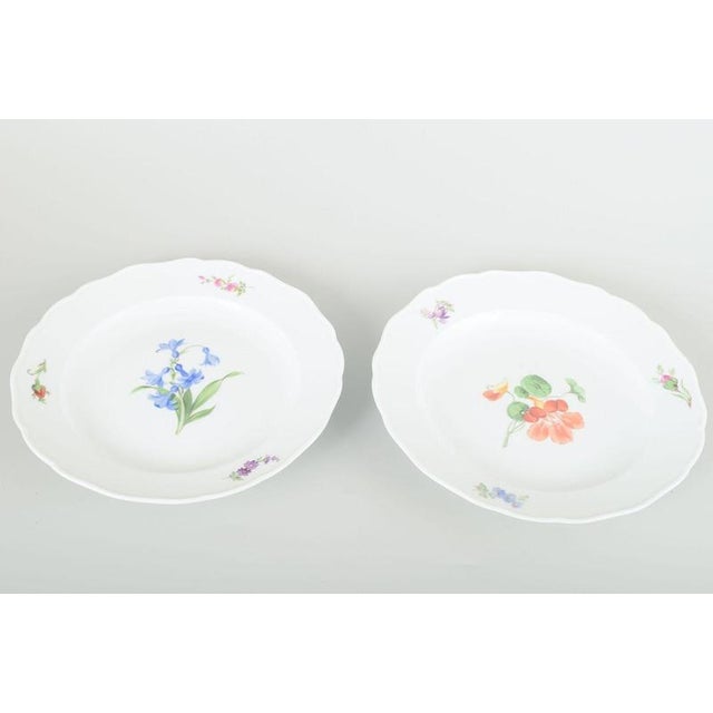 Meissen Two dinner plates, c. 1930s. Two porcelain plates, hand-painted with multicoloured floral decorations. Classic...