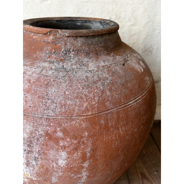 Large Antique Mediterranean Patinated Terracotta Olive Jar, 1900s For Sale - Image 4 of 10