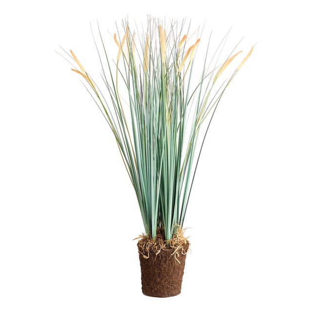 Field Grass Drop-In 35" For Sale