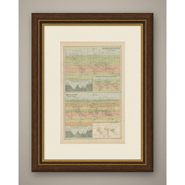A sheet of natural history charts of the world. It carries a zoological chart shewing the distribution of some of the...