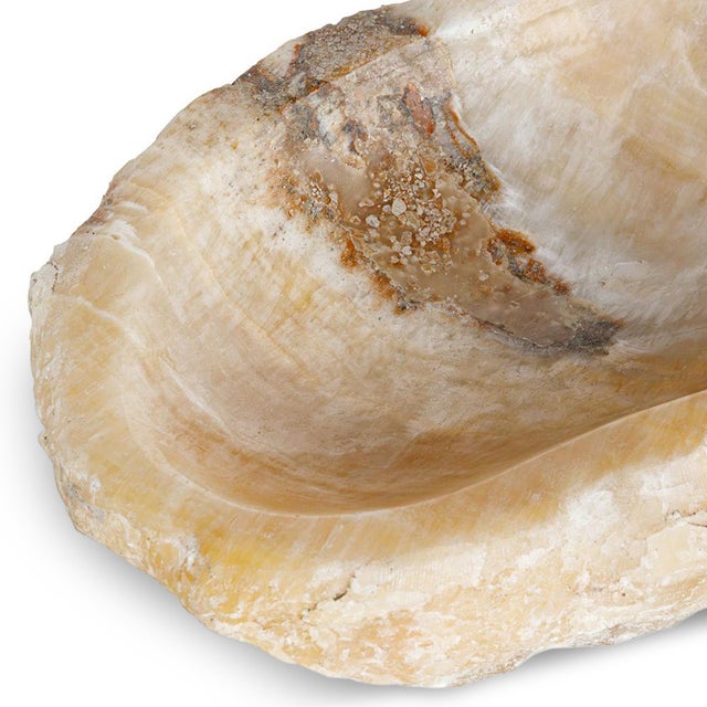 2020s Natural Honey Onyx Elongated Bowl For Sale - Image 5 of 7