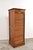 Antique Roller Door Cabinet in Oak, 1900s For Sale - Image 13 of 13