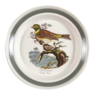 Vintage Portmeirion Birds of Britain Cirl Bunting Bread & Butter Plate – Green Band For Sale
