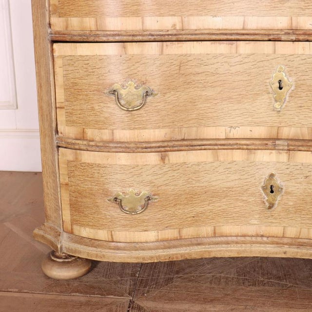 Austrian Bleached Oak Commode For Sale - Image 3 of 15